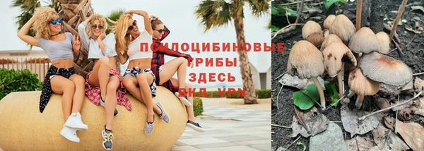 трава Абаза